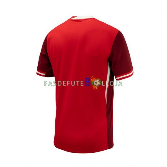 Camisola 1º Equipamento Seleção Canadense Copa America 2024 Manga Curta ,Homem
