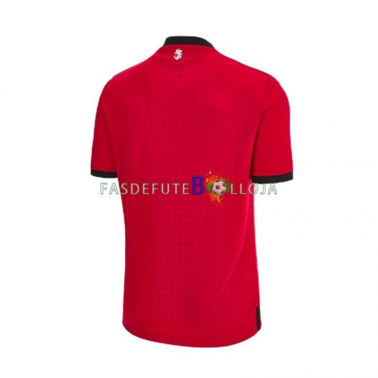 Camisola 3º Equipamento Georgia Euro 2024 Manga Curta ,Homem