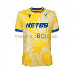 Camisola 2º Equipamento Crystal Palace 2024-2025 Manga Curta ,Homem