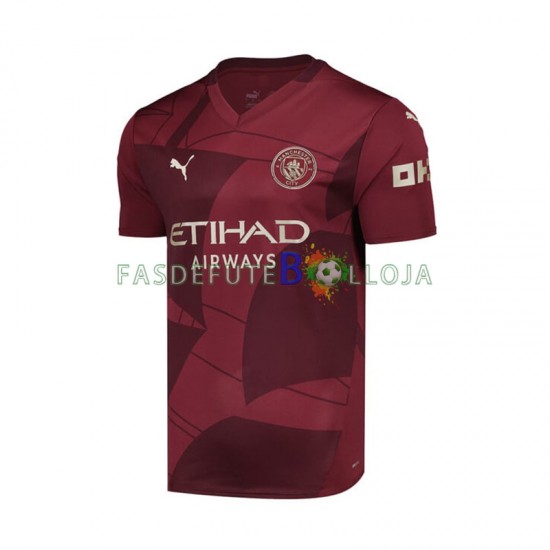Camisola 3º Equipamento Manchester City 2024-2025 Manga Curta ,Homem