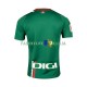 Camisola 2º Equipamento Deportivo Alaves 2023-2024 Manga Curta ,Homem