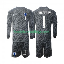 Camisola Guarda-redes 1º Equipamento Seleção Finlandesa HRADECKY 1 2024 Manga Comprida ,Criança