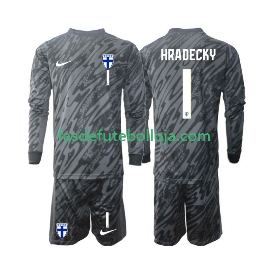 Camisola Guarda-redes 1º Equipamento Seleção Finlandesa HRADECKY 1 2024 Manga Comprida ,Criança