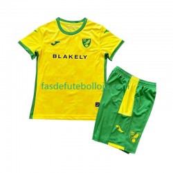 Camisola 1º Equipamento Norwich City 2024-2025 Manga Curta ,Criança