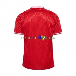 Camisola 1º Equipamento Seleção Dinamarquesa Euro 2024 Manga Curta ,Homem