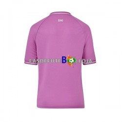 Camisola Guarda-redes 1º Equipamento Seleção Irlandesa 2023 Manga Curta ,Homem