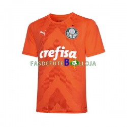 Camisola Guarda-redes 3º Equipamento Palmeiras 2022-2023 Manga Curta ,Homem