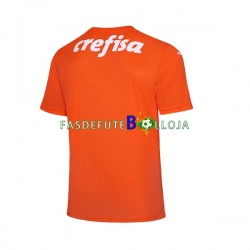 Camisola Guarda-redes 3º Equipamento Palmeiras 2022-2023 Manga Curta ,Homem