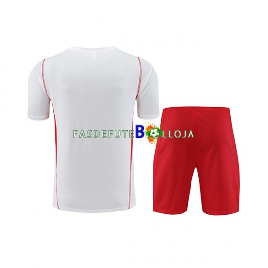 CR Flamengo Branco Camisa e shorts de treino 2023-2024