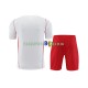 CR Flamengo Branco Camisa e shorts de treino 2023-2024