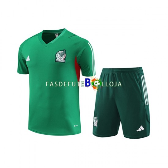 Seleção Mexicana Verde Camisa e shorts de treino 2023-2024