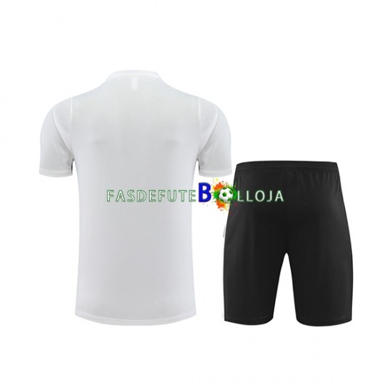 Paris Saint-Germain Branco Camisa e shorts de treino 2023-2024