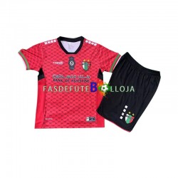 Camisola Guarda-redes 1º Equipamento Club Deportivo Palestino 2024-2025 Manga Curta ,Criança
