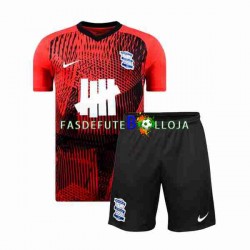Camisola 2º Equipamento Birmingham City 2023-2024 Manga Curta ,Criança