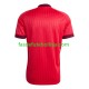 Camisola 3º Equipamento Seleção Norueguesa Martin Odegaard 10 World Cup 2026 Manga Curta ,Homem