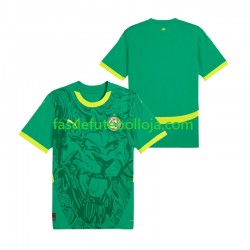 Camisola 2º Equipamento Seleção Senegalesa 2025 Manga Curta ,Homem