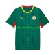 Camisola 2º Equipamento Seleção Senegalesa 2026 2027 Manga Curta ,Homem