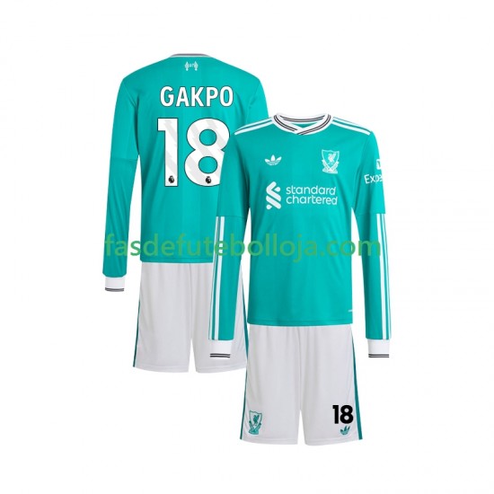 Camisola 3º Equipamento Liverpool Gakpo 18 2025-2026 Manga Comprida ,Criança