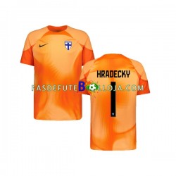 Camisola Guarda-redes 1º Equipamento Seleção Finlandesa HRADECKY 1 2022-2023 Manga Curta ,Homem