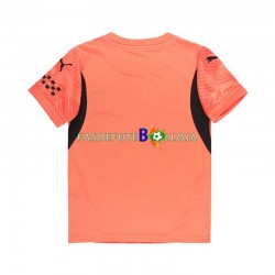 Camisola Guarda-redes 2º Equipamento Manchester City 2024-2025 Manga Curta ,Homem