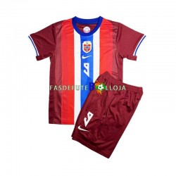 Camisola 1º Equipamento Seleção Norueguesa Erling Haaland 9 2024 Manga Curta ,Criança