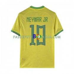 Camisola 1º Equipamento Seleção Brasileira Neymar JR 10 World Cup 2022 Manga Curta ,Homem