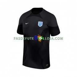 Camisola Guarda-redes 1º Equipamento Seleção Inglesa World Cup 2022 Manga Curta ,Homem