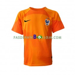 Camisola Guarda-redes 2º Equipamento Seleção Francesa World Cup 2022 Manga Curta ,Homem