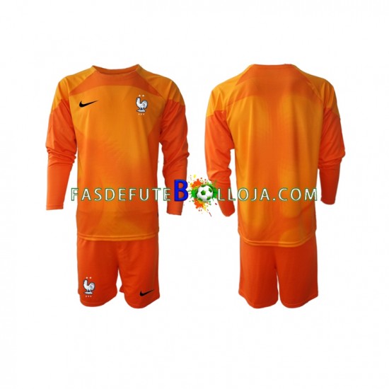 Camisola Guarda-redes 2º Equipamento Seleção Francesa World Cup 2022 Manga Comprida ,Criança