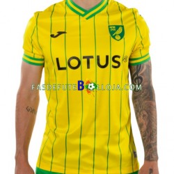 Camisola 1º Equipamento Norwich City 2022-2023 Manga Curta ,Homem