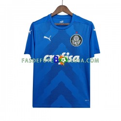 Camisola Guarda-redes 2º Equipamento Palmeiras 2022-2023 Manga Curta ,Homem