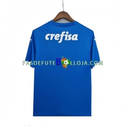 Camisola Guarda-redes 2º Equipamento Palmeiras 2022-2023 Manga Curta ,Homem