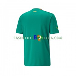 Camisola 2º Equipamento Seleção Senegalesa World Cup 2022 Manga Curta ,Homem