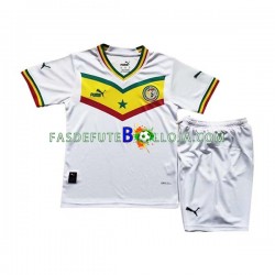Camisola 1º Equipamento Seleção Senegalesa World Cup 2022 Manga Curta ,Criança