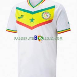 Camisola 1º Equipamento Seleção Senegalesa World Cup 2022 Manga Curta ,Homem