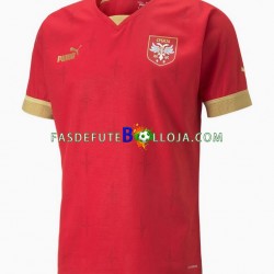 Camisola 1º Equipamento Seleção Sérvia World Cup 2022 Manga Curta ,Homem